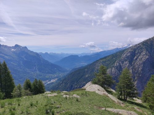 IMG 20260610 112501